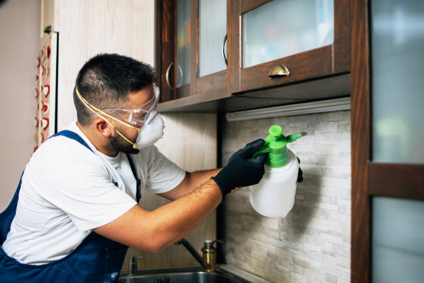 Best Bed Bug Extermination  in Triana, AL