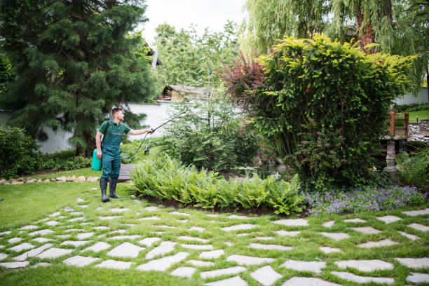 Best Ant Control Services  in Triana, AL