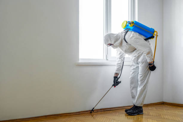 Best Exterminator Services  in Triana, AL