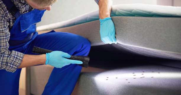 Professional Pest Control in Triana, AL