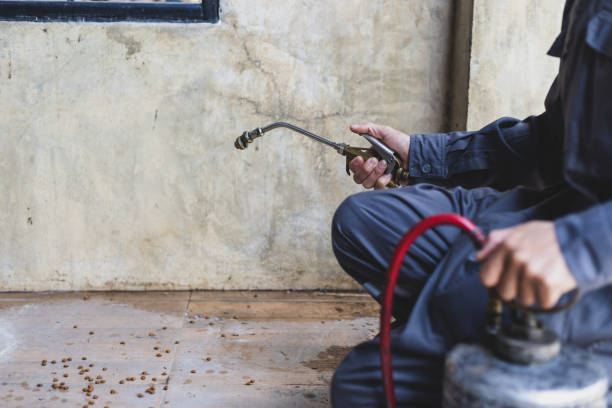 Best Best Pest Control Companies  in Triana, AL